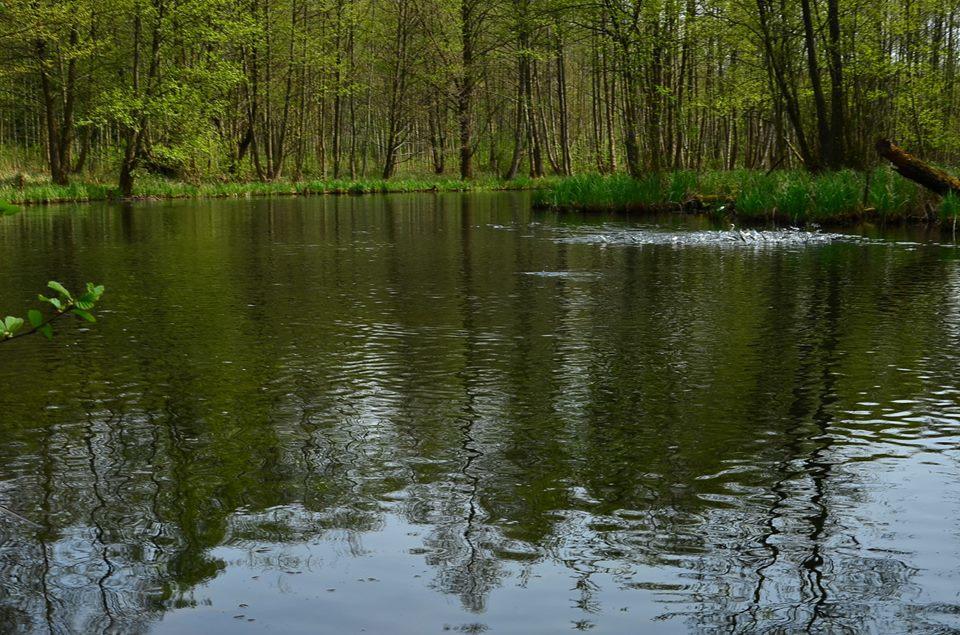 Gospodarstwo Nad Jeziorem Zalom  Exterior photo